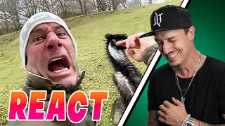 Funniest Fails Of The Week - React