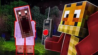 Ich kann mich in jeden CURSED Minecraft MOB verwandeln