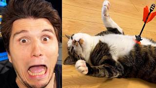 Paluten REAGIERT auf Überdramatische Tiere, die dich zum Lächeln bringen werden