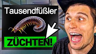 Ich züchte INSEKTEN, um die WELTHERRSCHAFT zu übernehmen