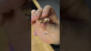 Ich teste die neue MILKA KARAMELL Salz Mandel Schokolade #milka #schokolade #karamel #foodnews