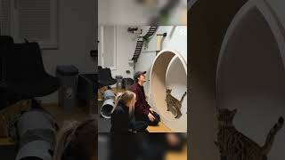 Das war richtig Bodenlos von Gronkh! 😂