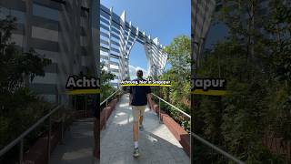 Das ist ein Singapur Geheimtipp