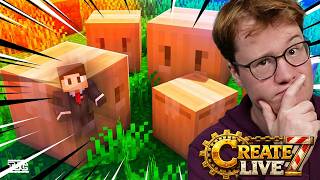 SPIELER im PAKET in CREATE LIVE 7