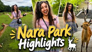 Nara Park Highlights! | Stream Highlights