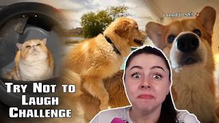 Ein tierisches Vergnügen 🤗 | Try Not to Laugh Challenge