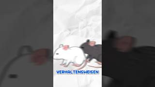 Sorry, aber das sind ganz schön gemischte Signale!! #flachwitz