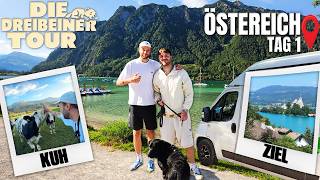 Es geht LOS! ABSOLUTES CHAOS mit ROCKY & LEON, einmal quer durch ÖSTERREICH! | Dreibeiner-TOUR Tag 1